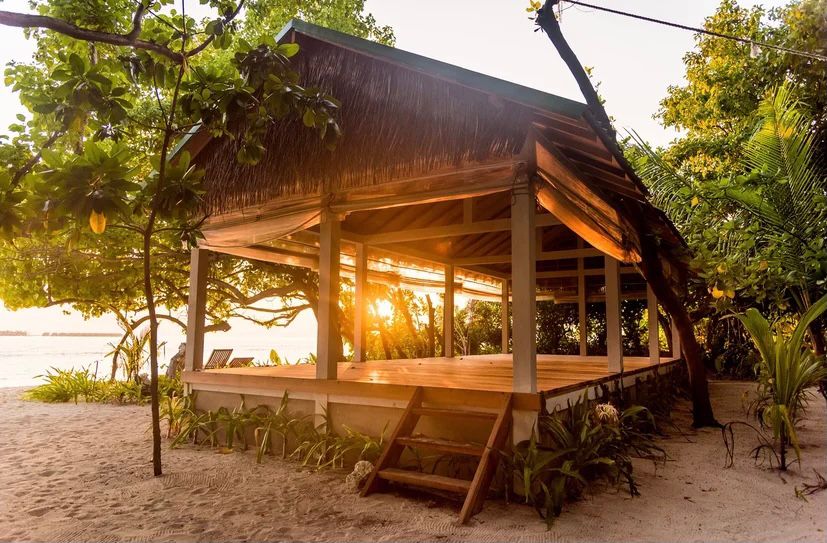 7 day Maldives Island Detox Retreat  25 Jan - 1 Feb, 2025