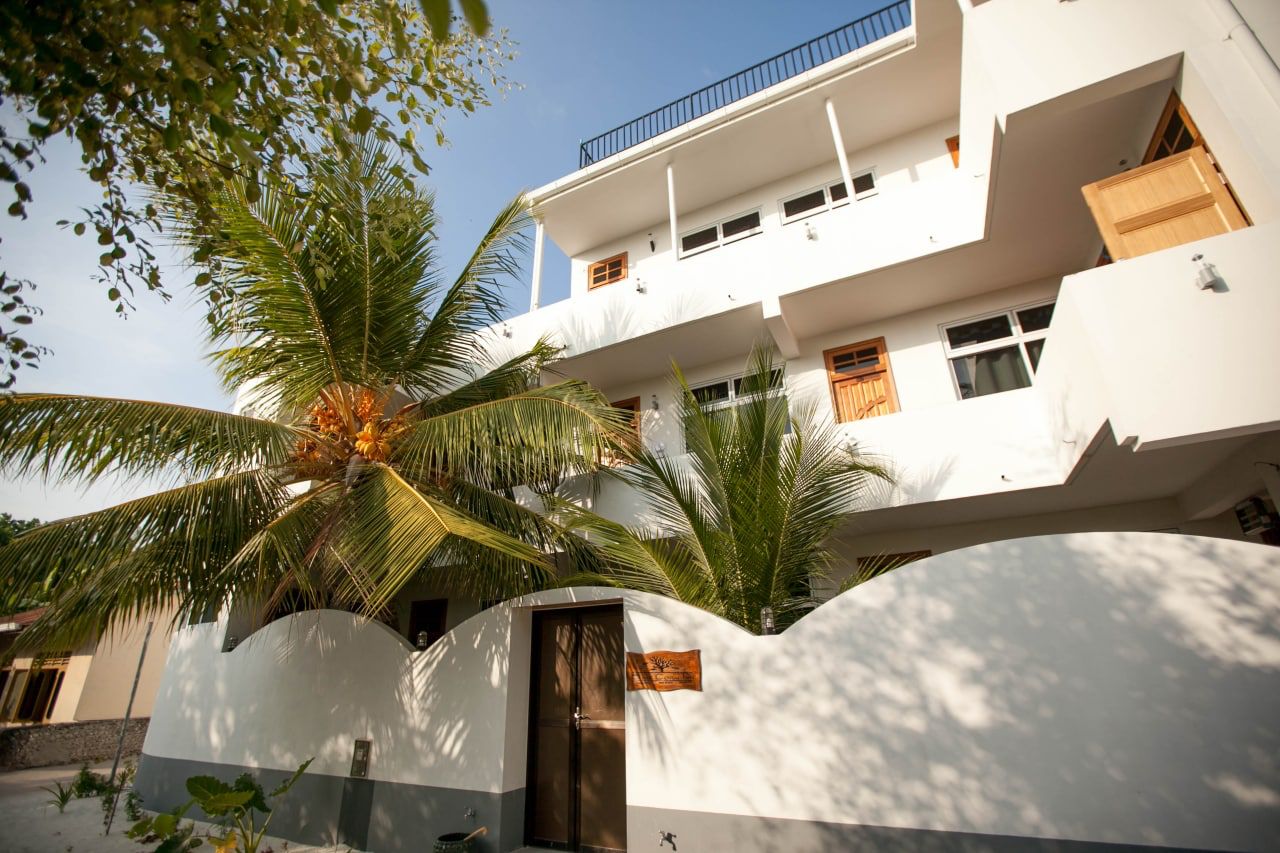 7 day Maldives Island Detox Retreat  25 Jan - 1 Feb, 2025