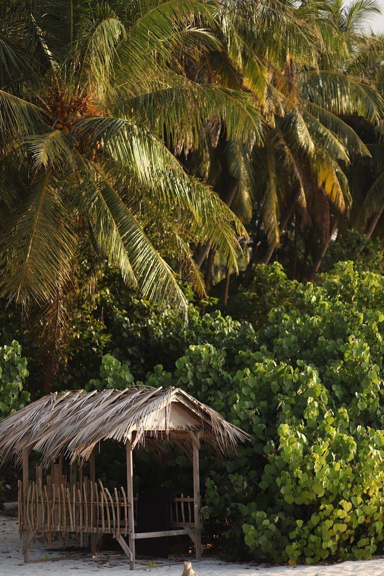 7 day Maldives Island Detox Retreat  25 Jan - 1 Feb, 2025