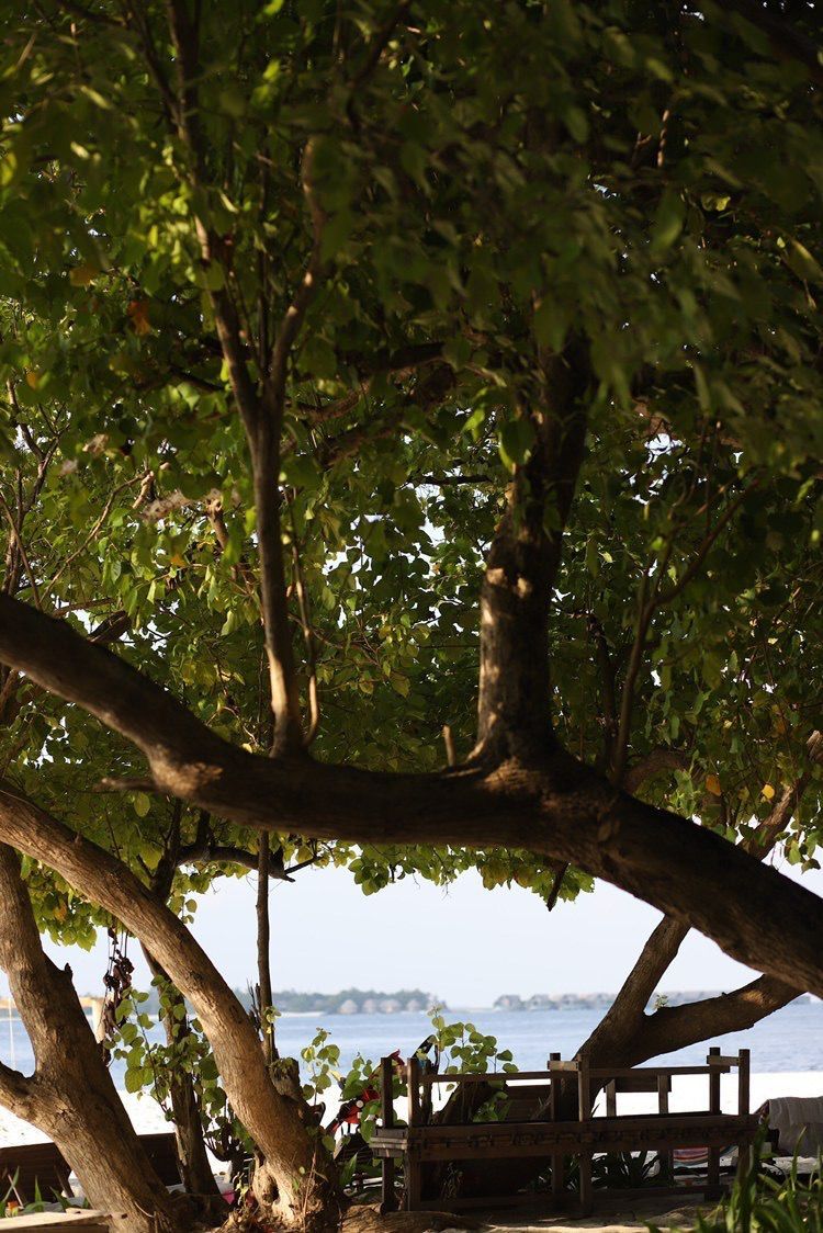 7 day Maldives Island Detox Retreat  25 Jan - 1 Feb, 2025