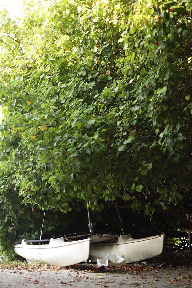 7 day Maldives Island Detox Retreat  25 Jan - 1 Feb, 2025