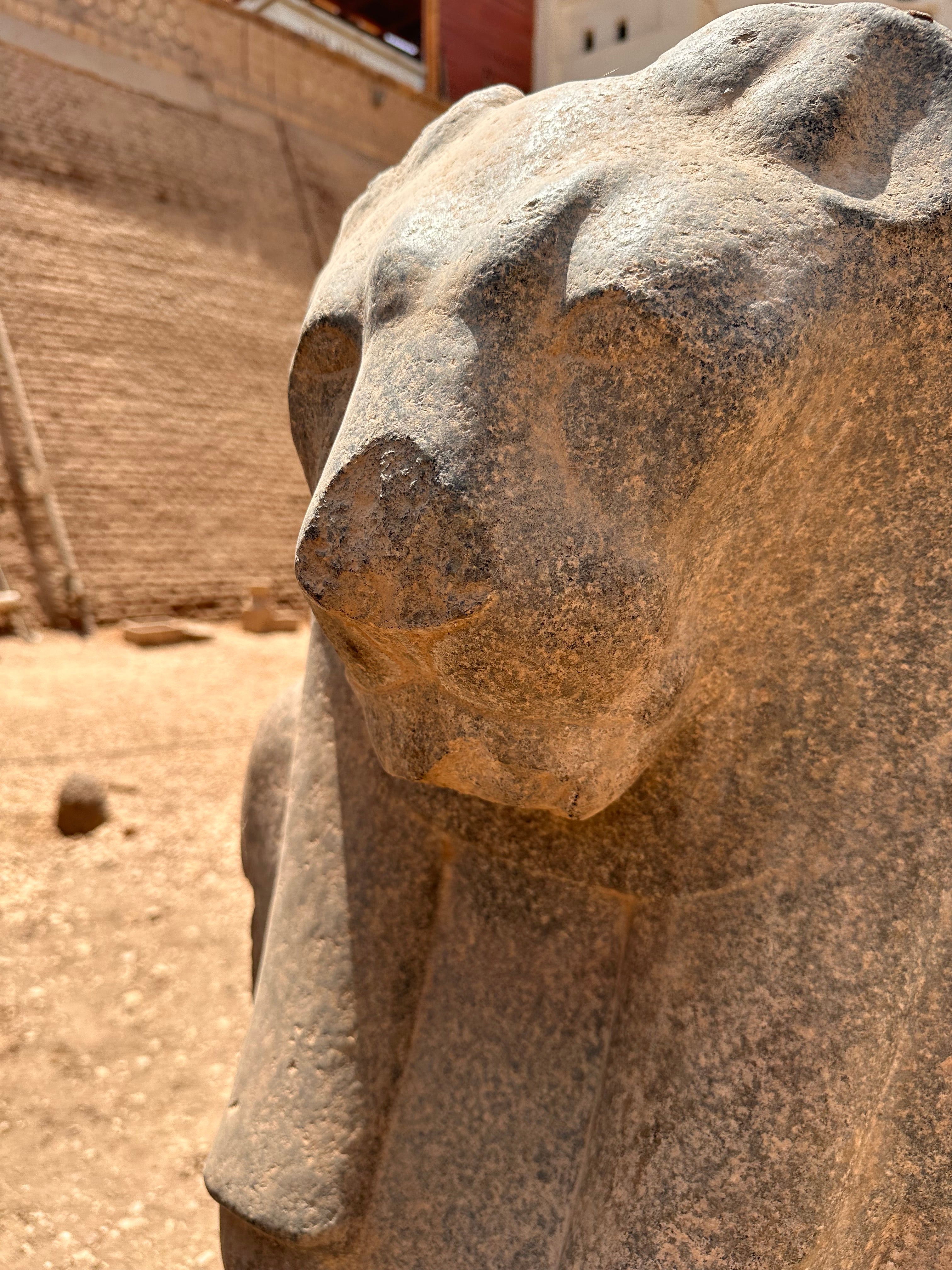 Egypt Study Tour - Mystery of Sacred Sands | Nov 26 - 6 Dec, 2024