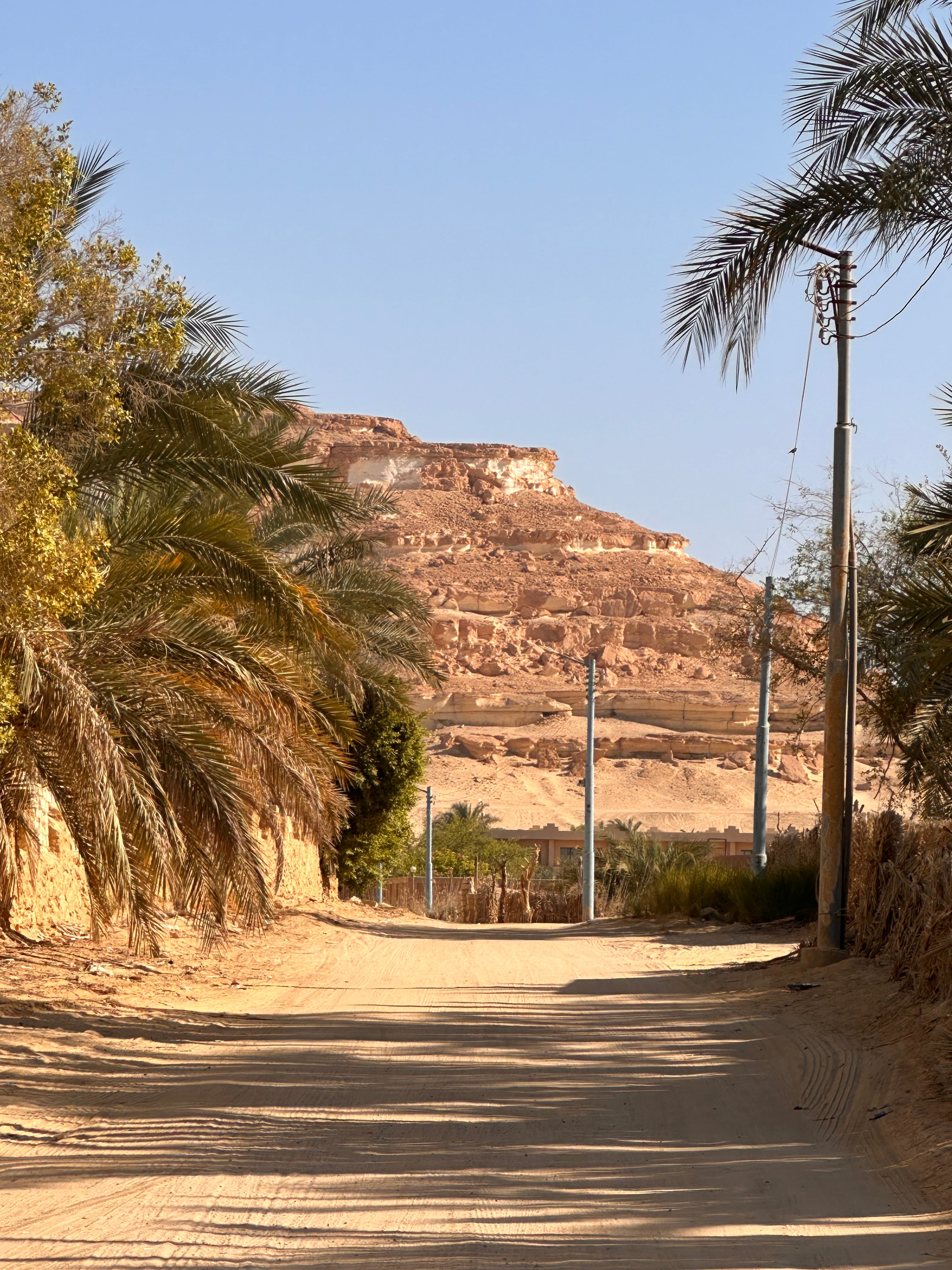 Egypt Study Tour - Mystery of Sacred Sands | Nov 26 - 6 Dec, 2024